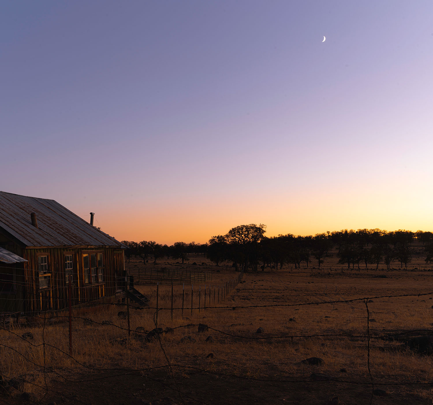 Facht Cabin Moon
