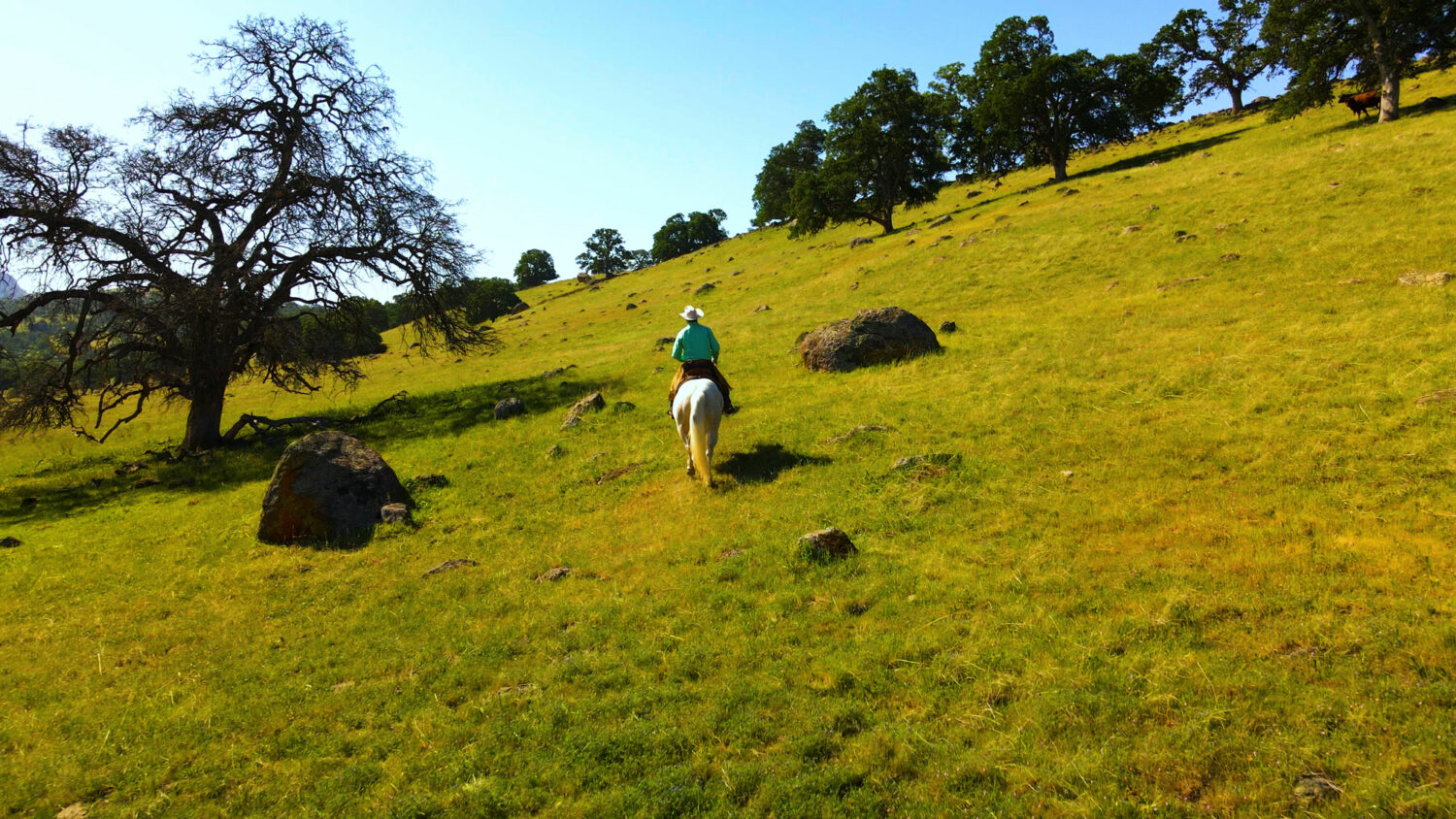 Matt Byrne at Tarke Ranch