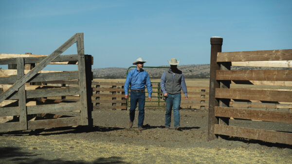 The History of SunFed Ranch